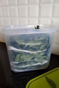 Curry Leaves Dried & Stored in a Box